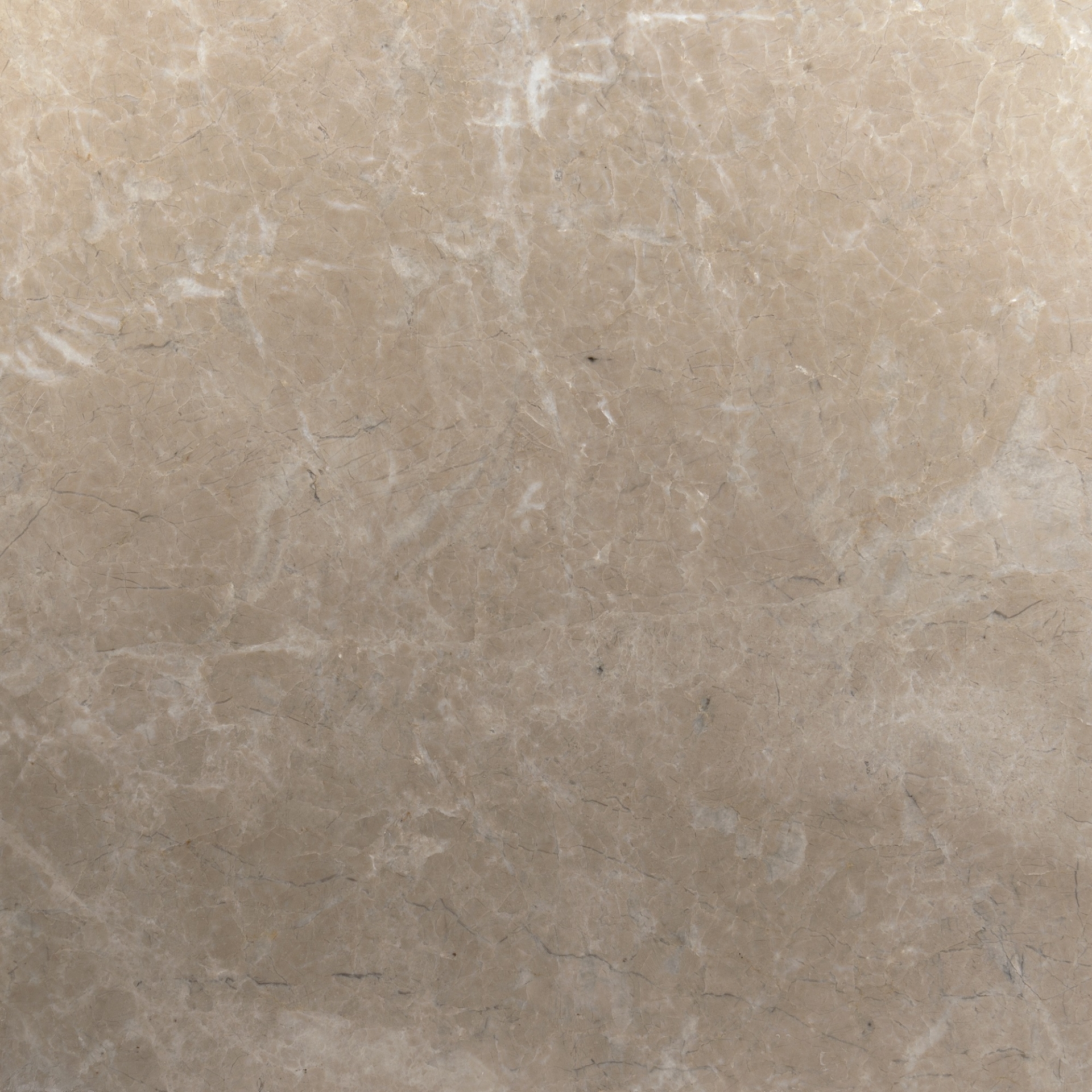 Atlantic White Product